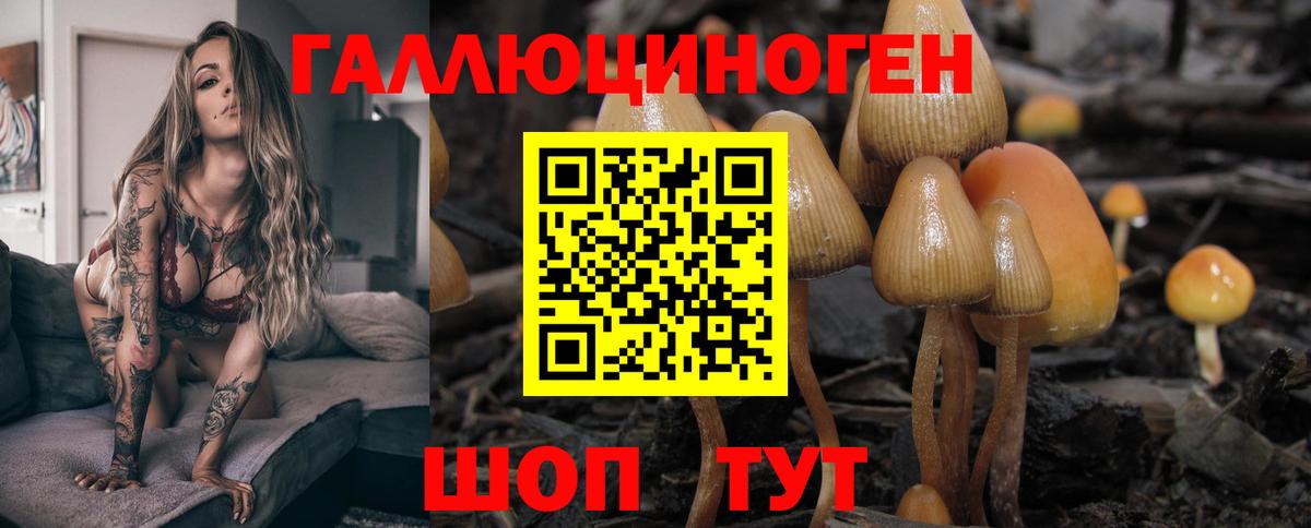 Галлюциногенные грибы GOLDEN TEACHER  Псилоцибиновые грибы Magic Shrooms  Сальск  Вход с VPN 